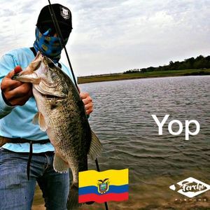 Meet your Posher, Peralta